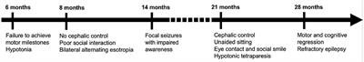 Case Report: Diffuse Polymicrogyria Associated With a Novel ADGRG1 Variant